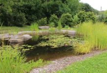 Grønn helse på Fagus vinterkonferanse