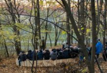 Barn trives best i grønne nabolag