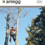 1-P&A 3-2019 – BOOK TO PRINT.indb