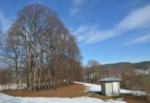 Vår på Austad gård