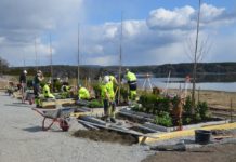 Gjennestad-elever til topps i skole-NM