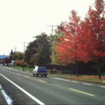 PICT0004