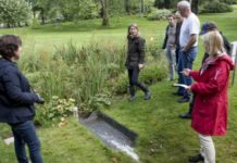 Vandring i universitetsparken på NMBU – et laboratorium for overvannsløsninger