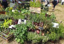 Cph Garden 2019: Tendenser