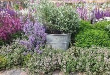 En drømmehage til alle