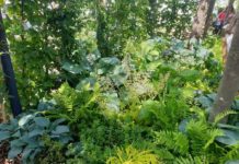 «En midtsommernattsdrøm» ble beste utstillingshage