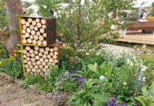 Naturligvis – den ville hagen