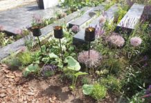 RYTMEN – en lek mellom tyngde og svevende effekter