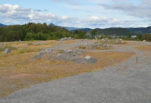 Nytt terreng og naturlig vegetasjon på Langøya