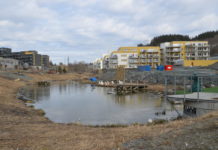 Norsk Standard for blå-grønn faktor er ute på høring