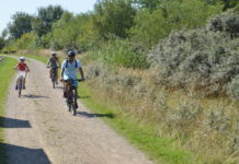 Gjensyn med Hedeland