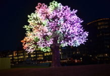 Et lysende vintertre med raskt skiftende farger