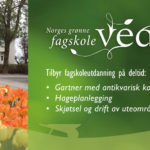 ngfv-annonse-720×300