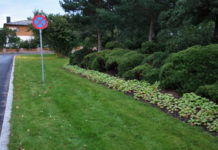 Klimavennlig og kostnadseffektiv skjøtsel av grasarealer