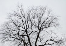 En smart metode til fundamentering av tregruberister