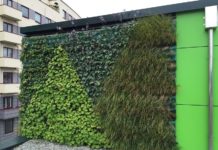 Vellykkede grønne vegger i Bergen