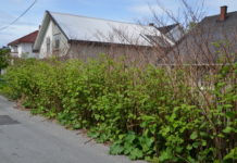 Gratis fagskolekurs for anleggsbransjen