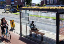 Leskur i byene bør få grønt tak