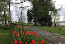 Blomsterløkaksjon i områdeløftet