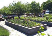 Smakfulle og sosiale parker