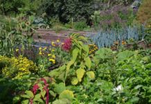 Tilrettelagt og tilgjengelig