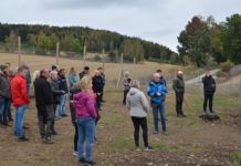 Markvandringer på Hedmarken