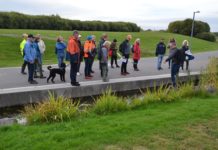 Vandring i grøntanleggene på Fornebu