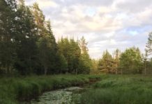 Tukuelva kultursti oppmuntrer til fysisk aktivitet