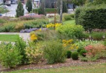 Kirkeparken er blitt Sarpsborgs blomstrende stolthet