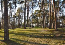 Årets grønne park: Kirkeparken og Kulåsparken i Sarpsborg