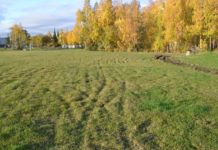 Rehabilitering av grasflater