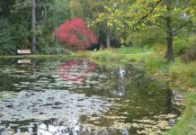 Honnør til landskapsarkitektur-studiene ved NMBU