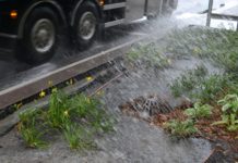 Salt og sprut fra biler skader og dreper stauder