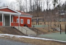 Vegetasjon i nye skoleanlegg – en håpløs utfordring?