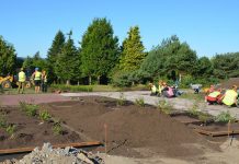 Nytt rosarium ved NMBU