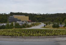 To rundkjøringer med nyplantet staudemiks