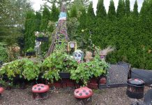 Lille Eden – en fantasirik sansehage bygd på entusiasme