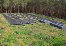 Vegetasjonen på og ved The Plus