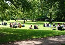 Forvaltning og governance av utemiljøer