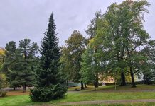 Søndre Park i Lillehammer ble Årets grønne park 2022