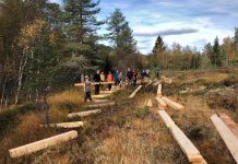 Miljøvennlig tursti i Surnadal