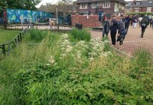 Framtidens smarte forvaltning og governance