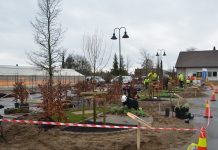 Skole-NM i anleggsgartnerfaget