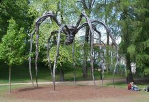 Gigantedderkopp på besøk i Slottsparken