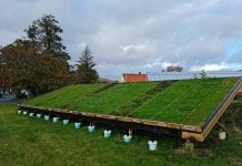 Bærekraftige alternativer til moderne torvtak