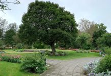 En snarvisitt i den botaniske hagen i Reykjavik
