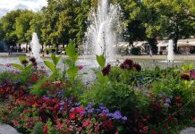 Agaia med to nye kontrakter for Oslo kommune