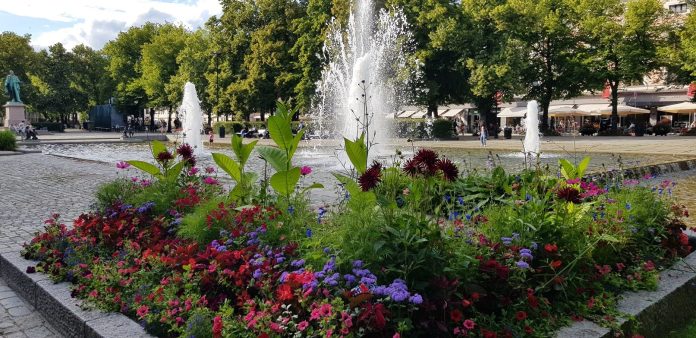 Agaia_Spikersuppa01red