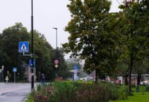 Overvannshandtering i Tåsenveien