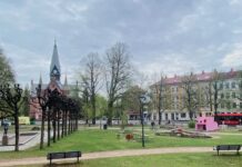 Gråbeinsletta gjennom tidene